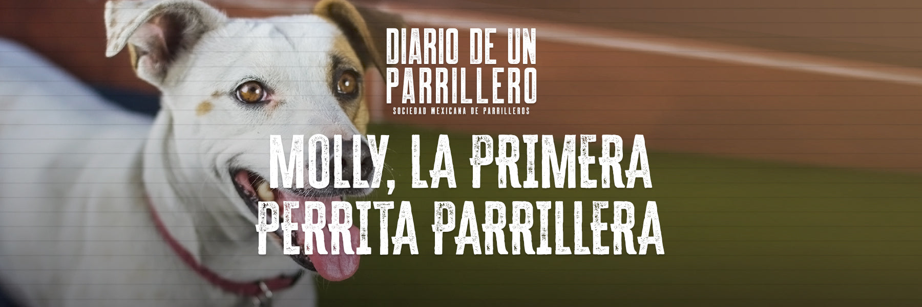 Molly, la primera perrita parrillera