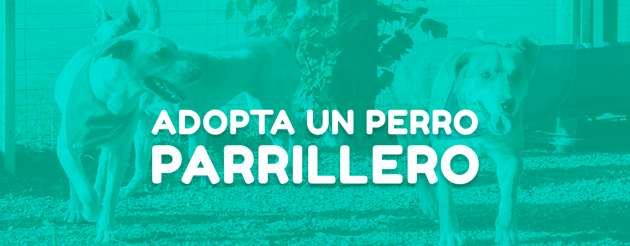 Perros Parrilleros