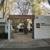 Tarde de Picaña | Guadalajara | 24 enero