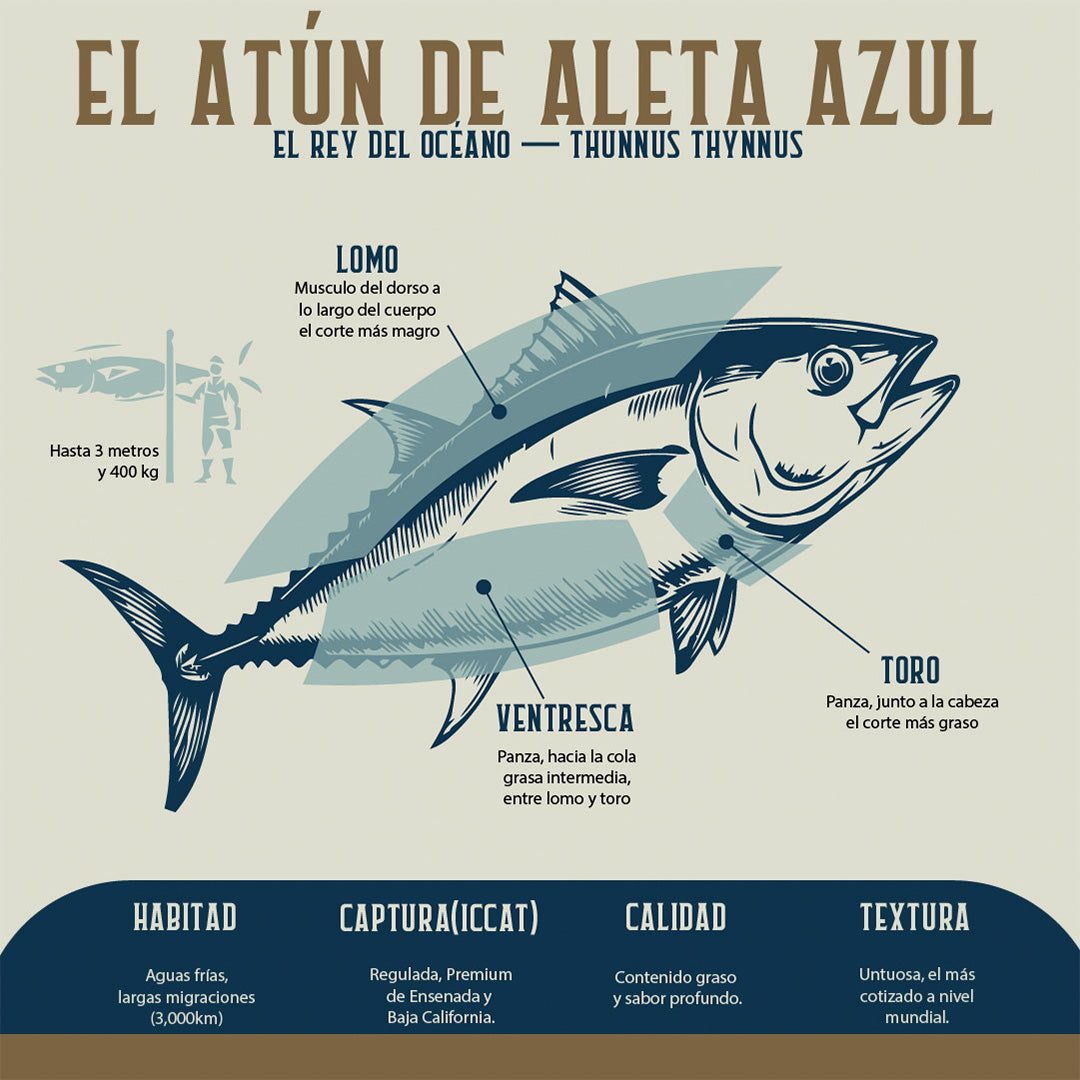 Ronqueo de Atún | CDMX Poniente | 26 Septiembre