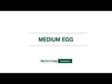 Medium Big Green Egg