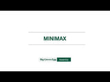 Minimax Big Green Egg
