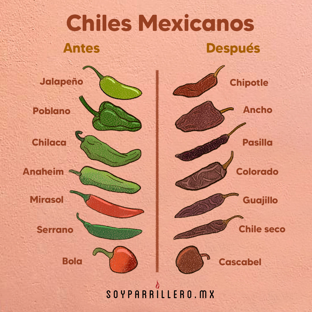 Chiles mexicanos antes y después del proceso de secado