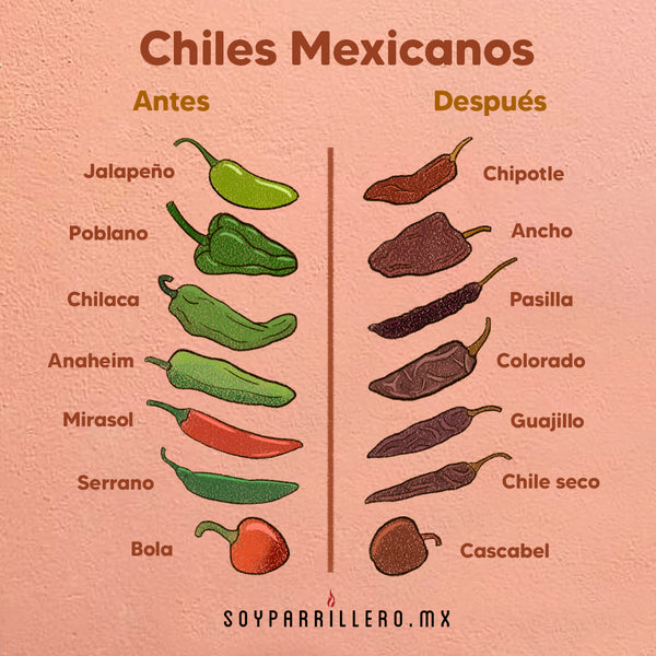 Chiles mexicanos antes y después del proceso de secado