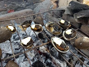 ALMEJAS "PATA DE MULA" A LAS BRASAS