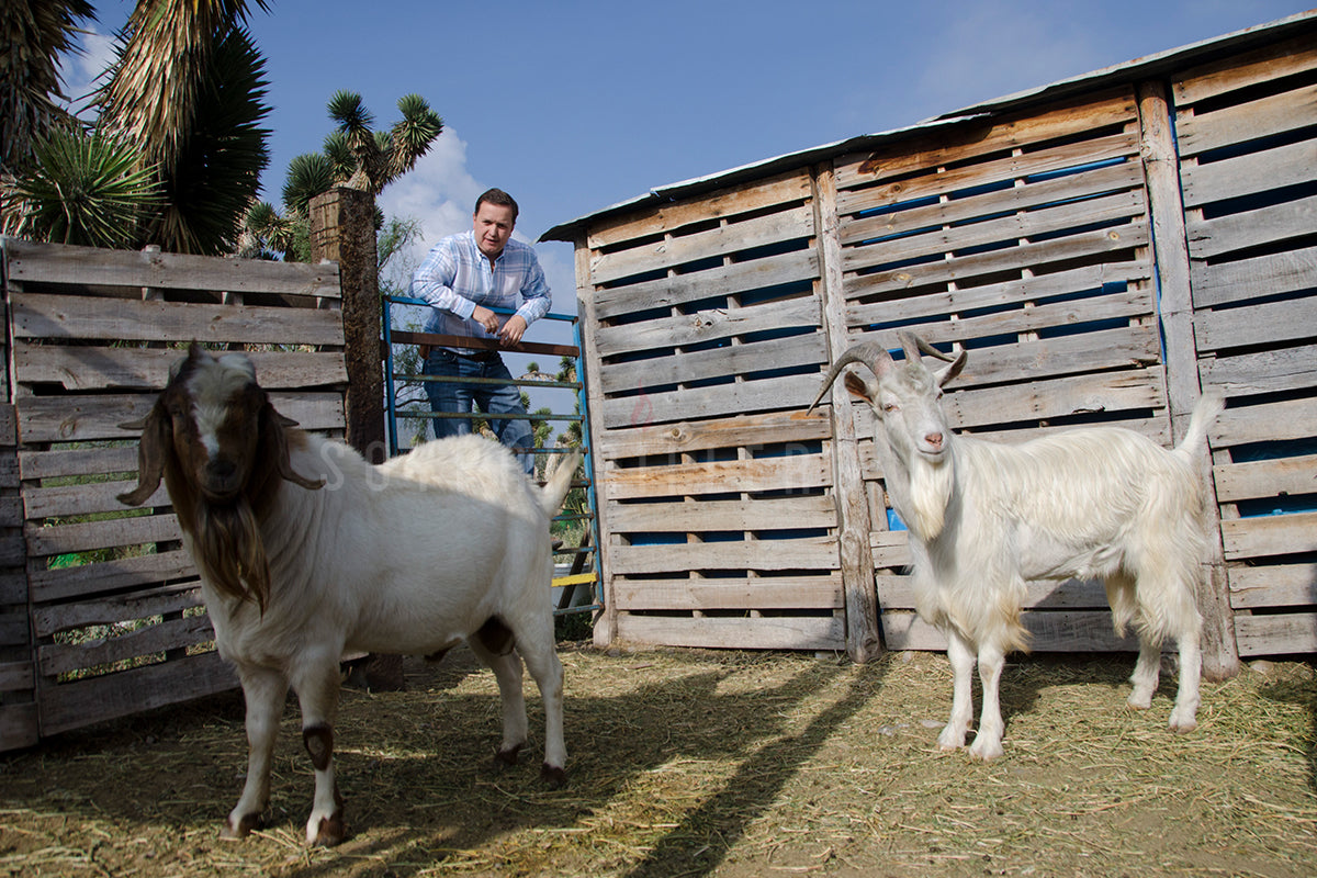La Senda del Cabrito gana primer lugar como mejor libro de carne a nivel internacional | SMP