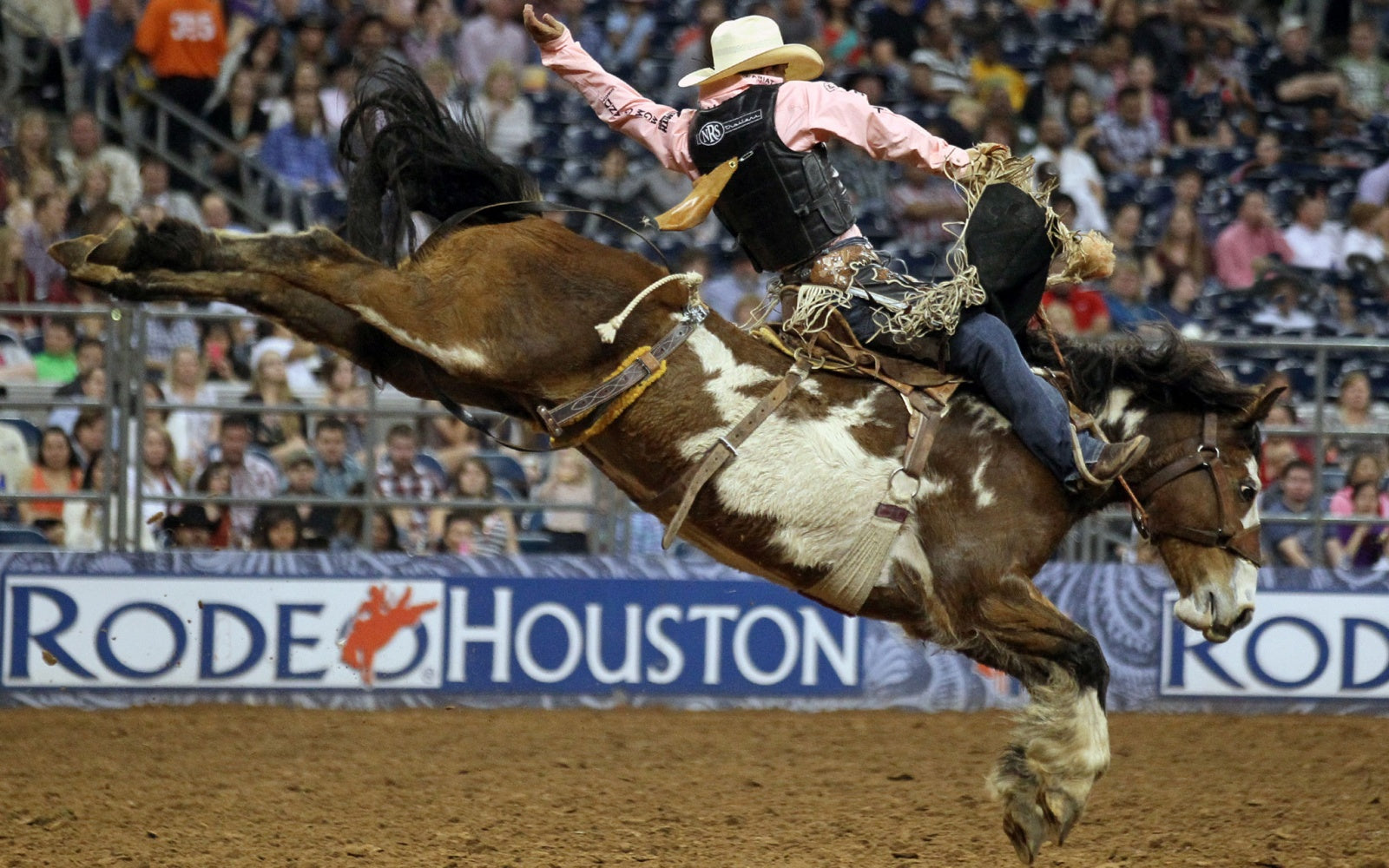 La SMP presente en el Houston Livestock Show and Rodeo