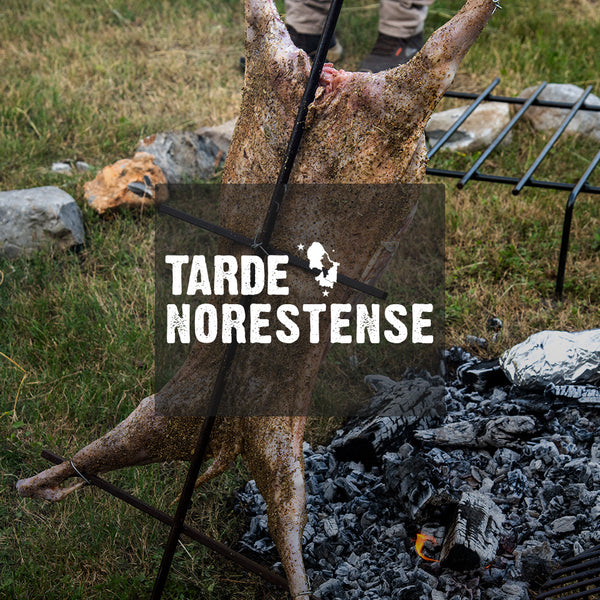 Tarde Norestense | Querétaro | 31 enero