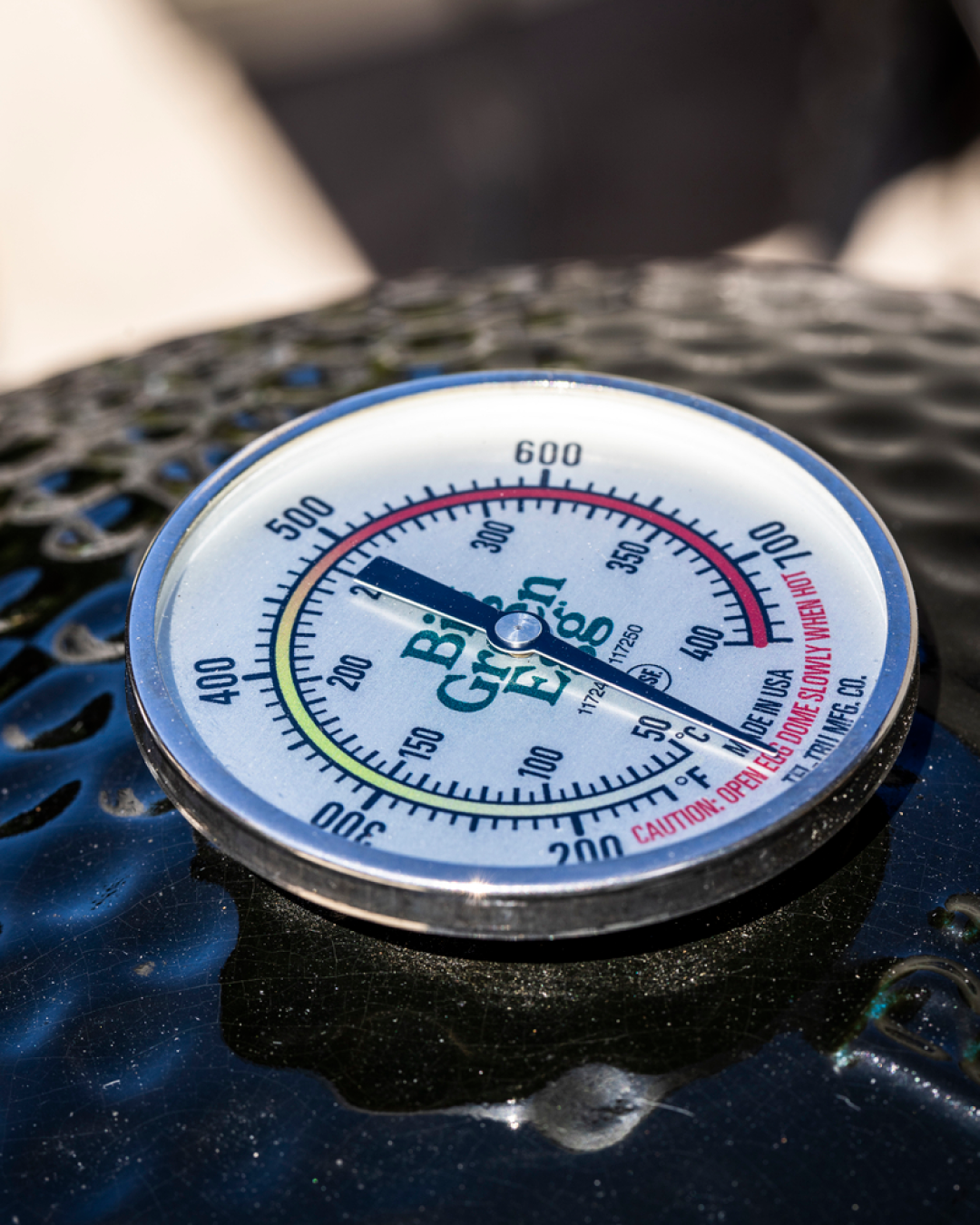 Onyx XLarge Big Green Egg
