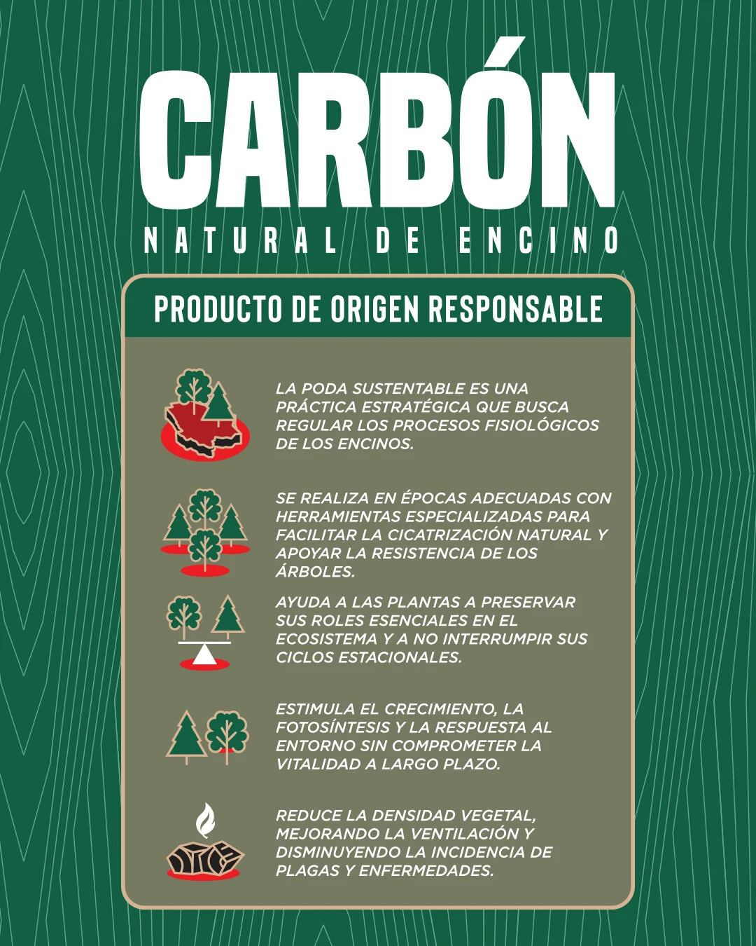 Carbón SMP 3 kg