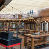 Tarde de Dia de Reyes | CDMX Sur | 10 enero