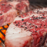 Tarde de Prime Cuts | Querétaro | 2 agosto