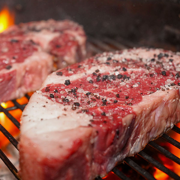 Tarde Norestense | Querétaro | 31 enero