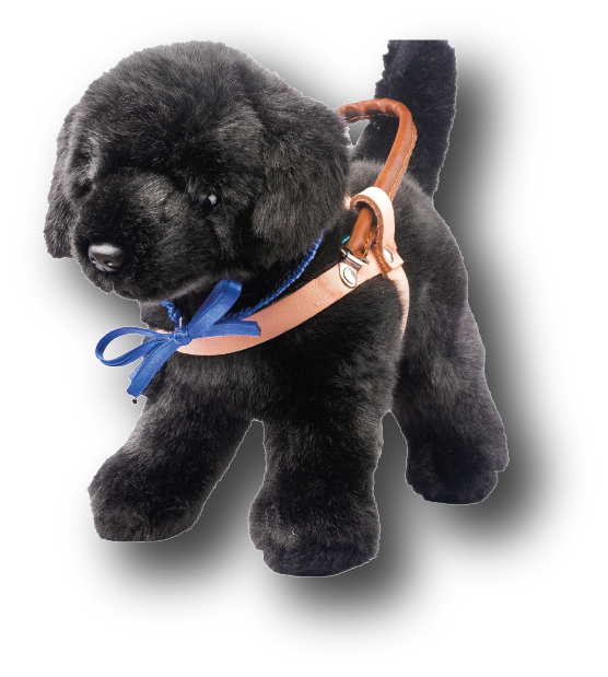 PERRO GUÍA NEGRO
