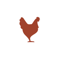Pollo