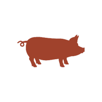 Puerco
