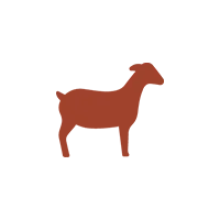 Cabrito