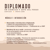 Diplomado en Ciencias y Arte del Fuego | Santiago | 15 al 19 de Octubre