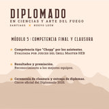 Diplomado en Ciencias y Arte del Fuego | Santiago | 15 al 19 de Octubre