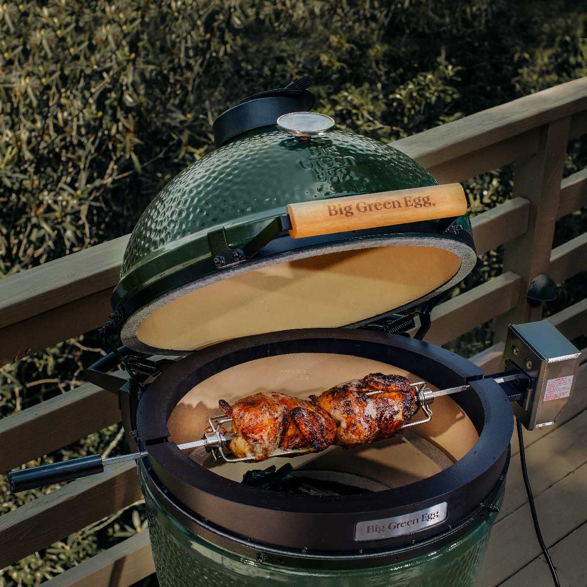 Rotisserie Kit EGG