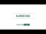 XLarge Big Green Egg